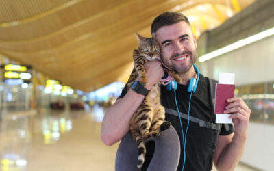 What age can you travel with a cat?